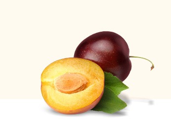 Plum